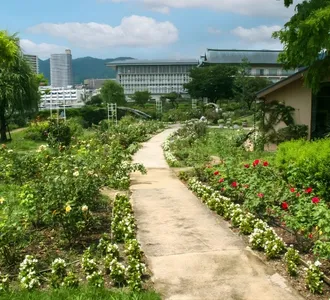 Garden - Our Home and Gardens
